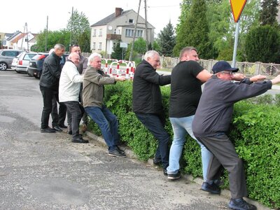 Drzewko Szczedrzyk (4)